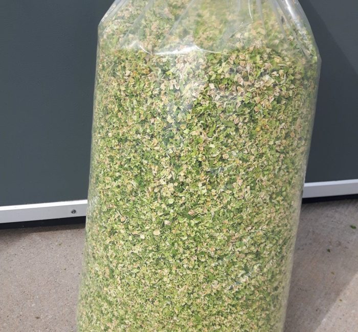 Peas 1