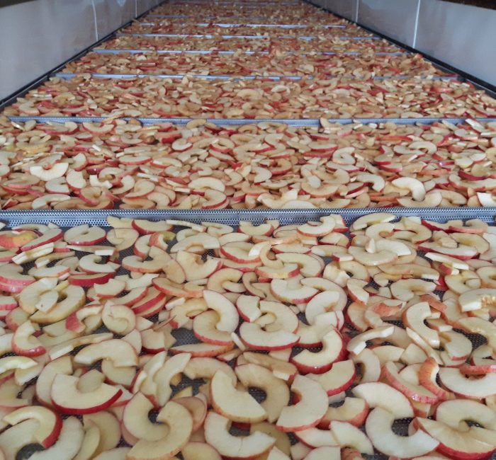apple+rings+raw (1)